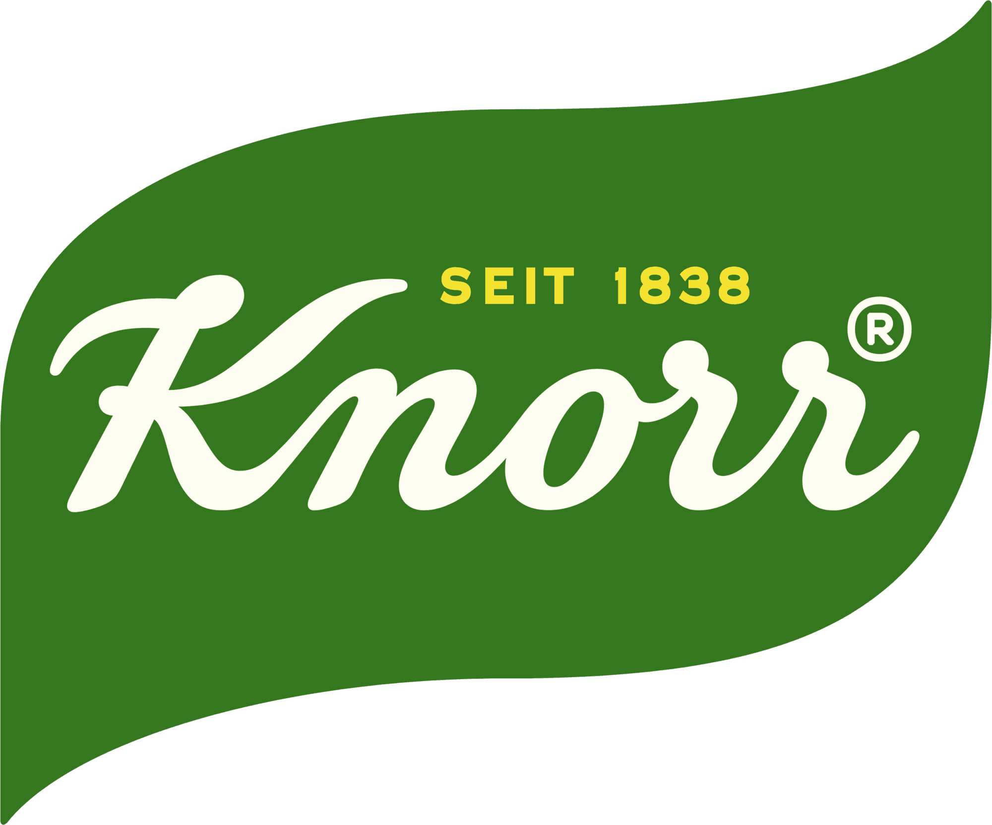 Knorr
