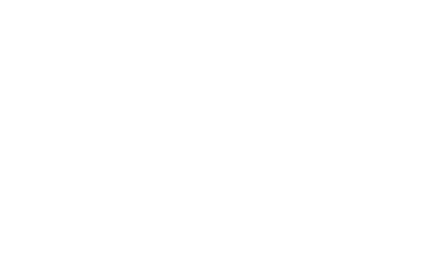 Nirvana Hotels